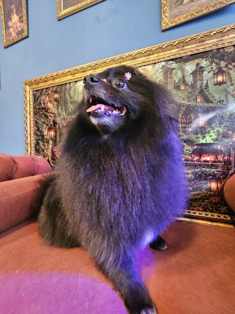 Foto de capa