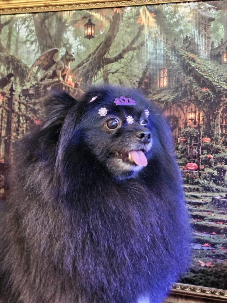 Foto de capa