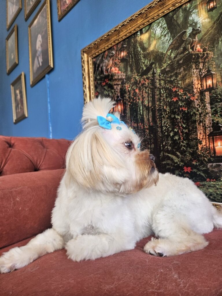 Foto de capa