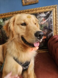 Marley