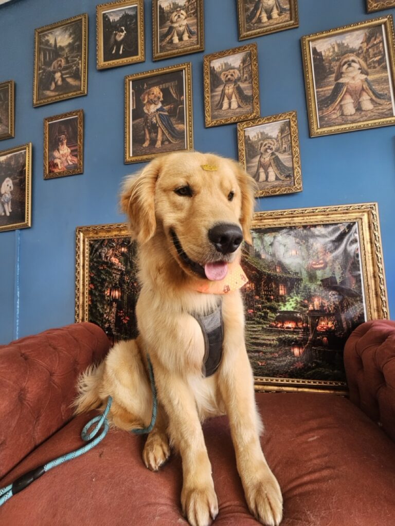 Foto de capa