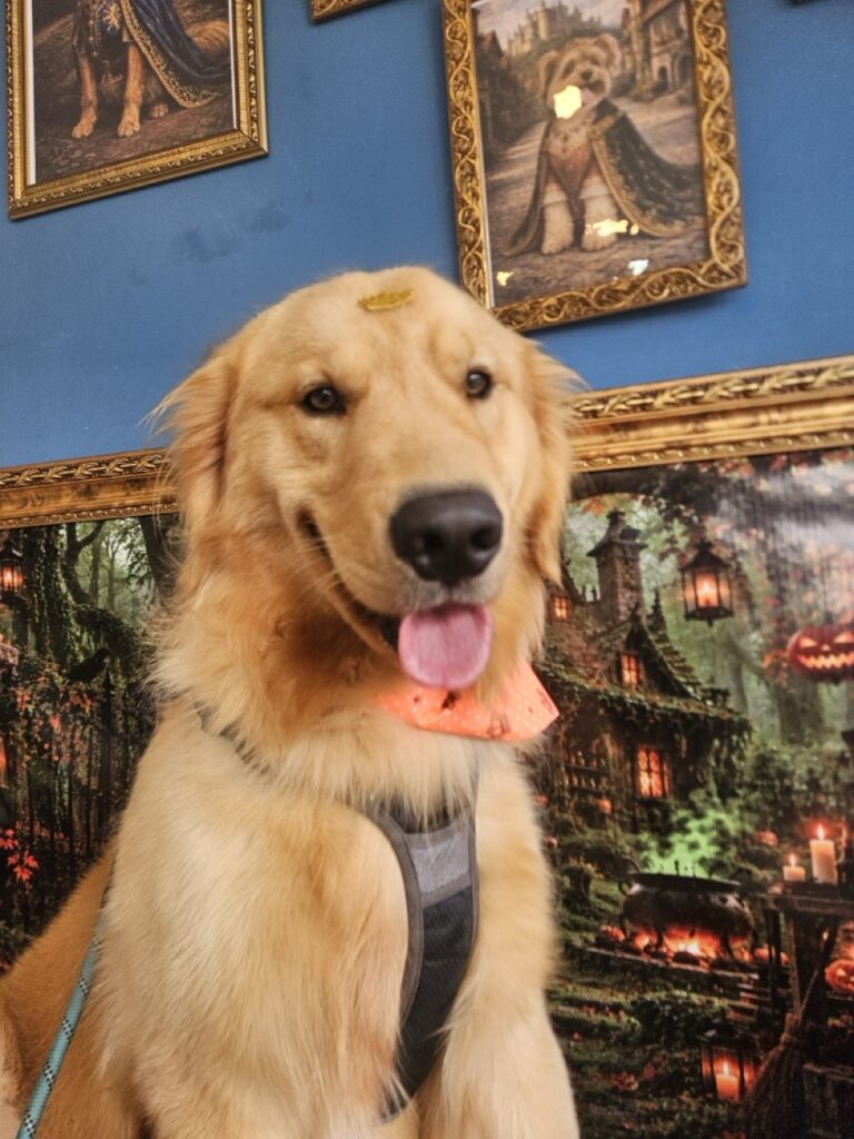 Foto de capa