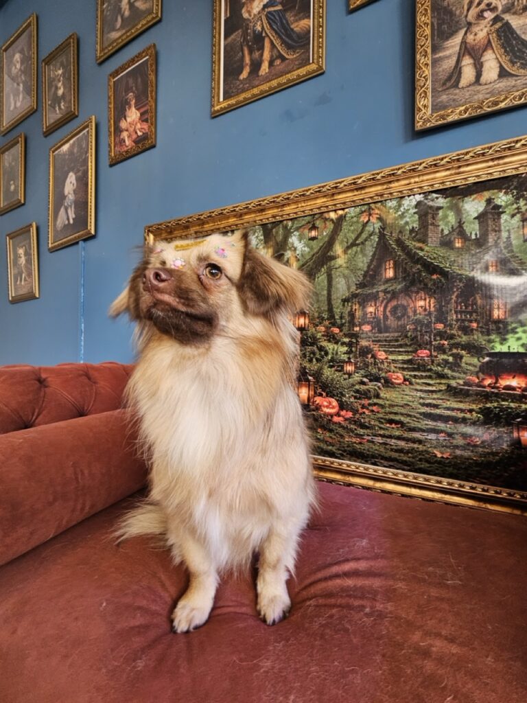 Foto de capa