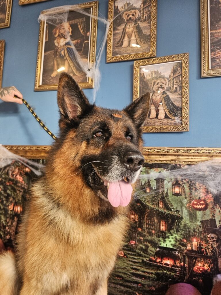 Foto de capa