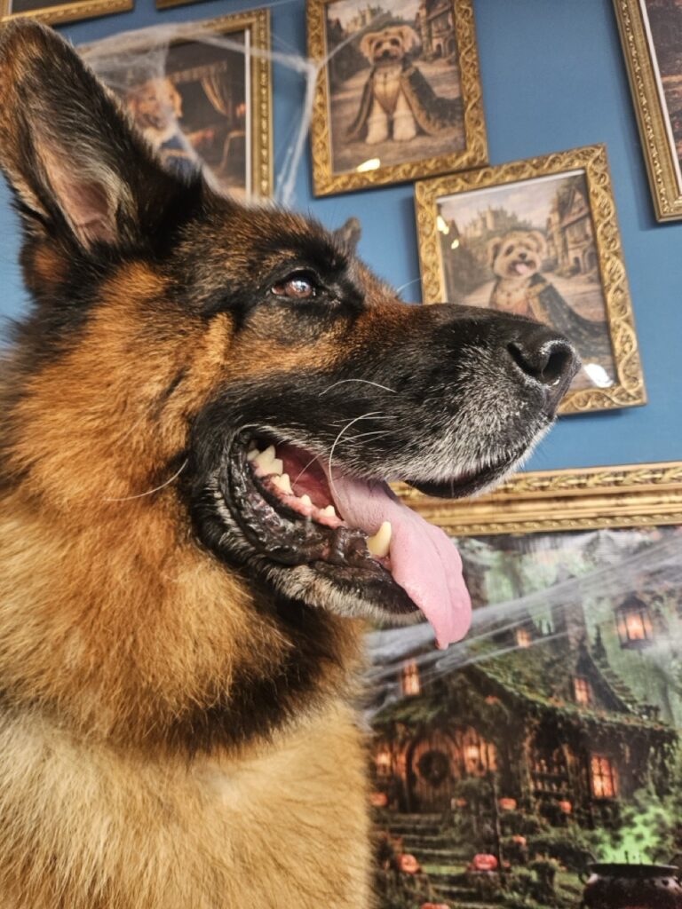 Foto de capa