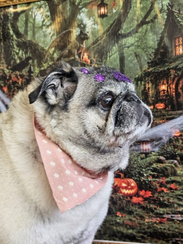 Foto de capa