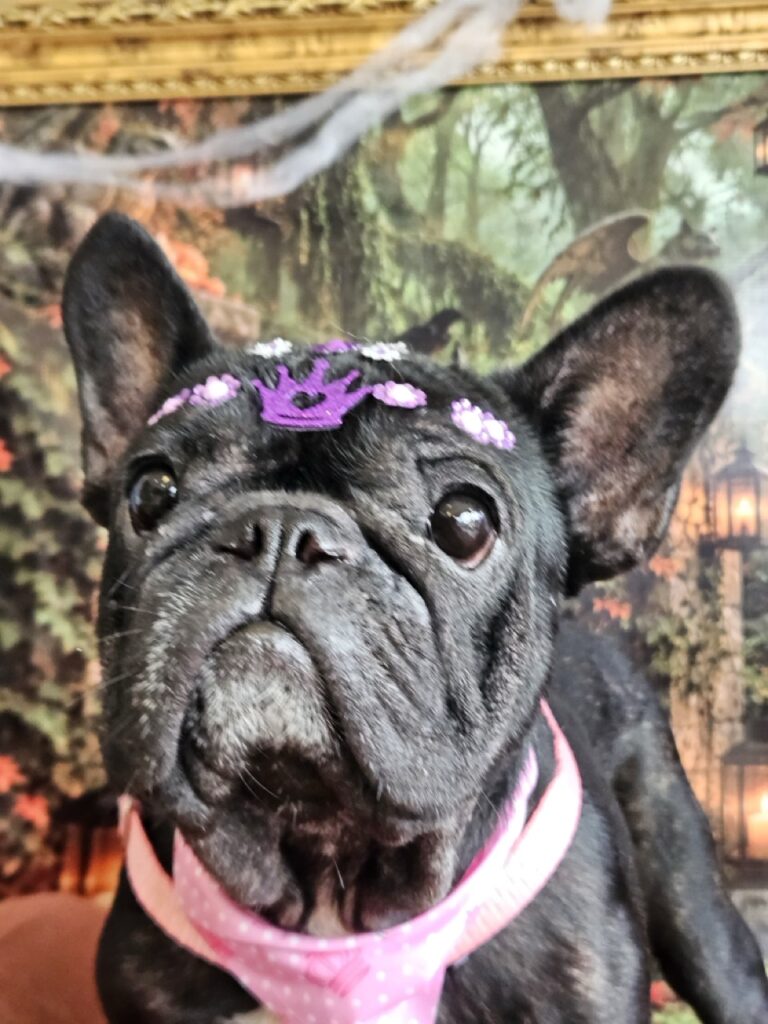 Foto de capa